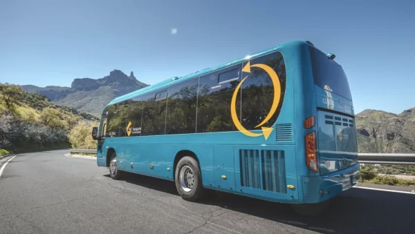 Cabildo de gran canaria transporte