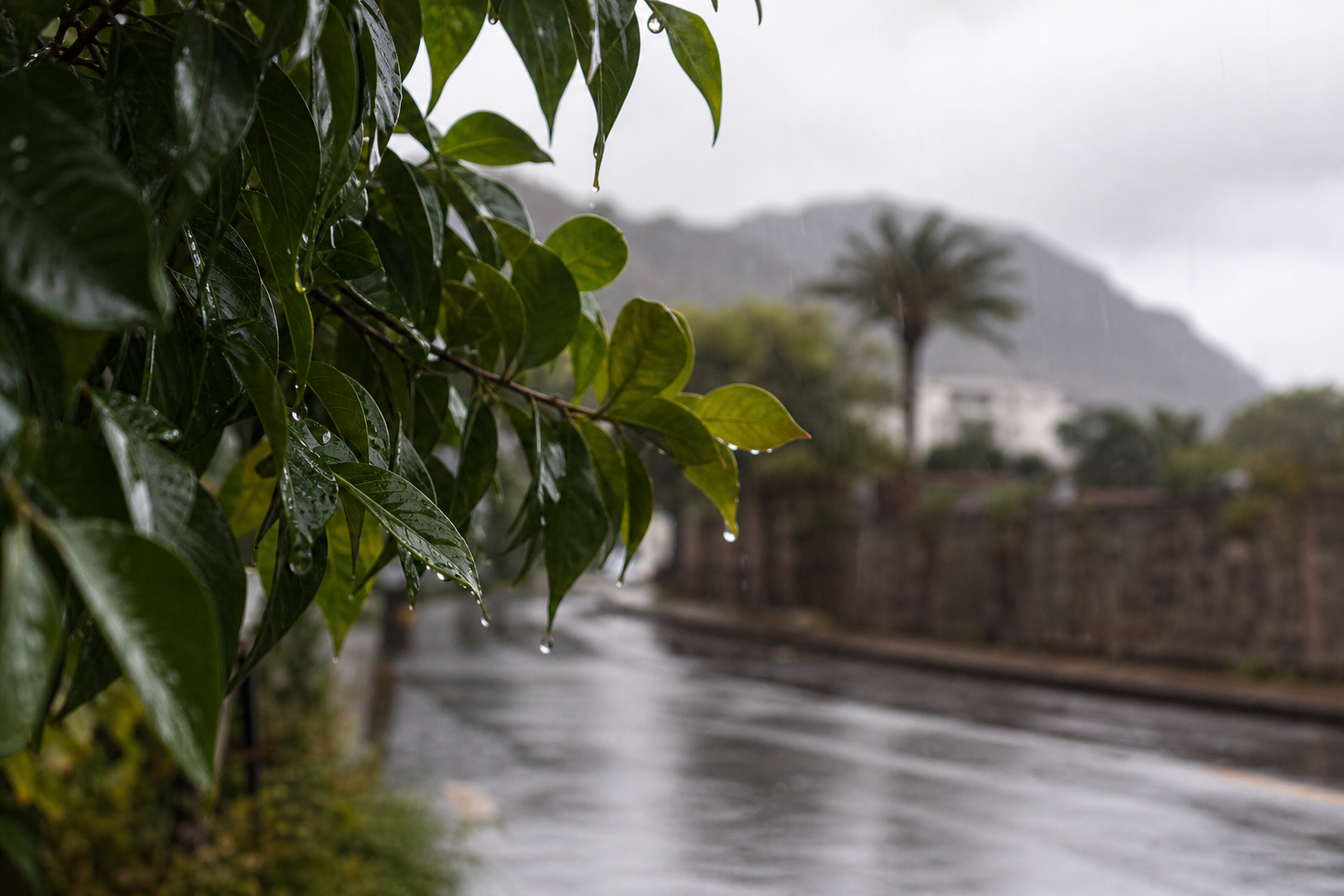 Imagen relacionada con La DANA Adam deja lluvias y tormentas en Canarias con aviso y riesgo de chubascos fuertes